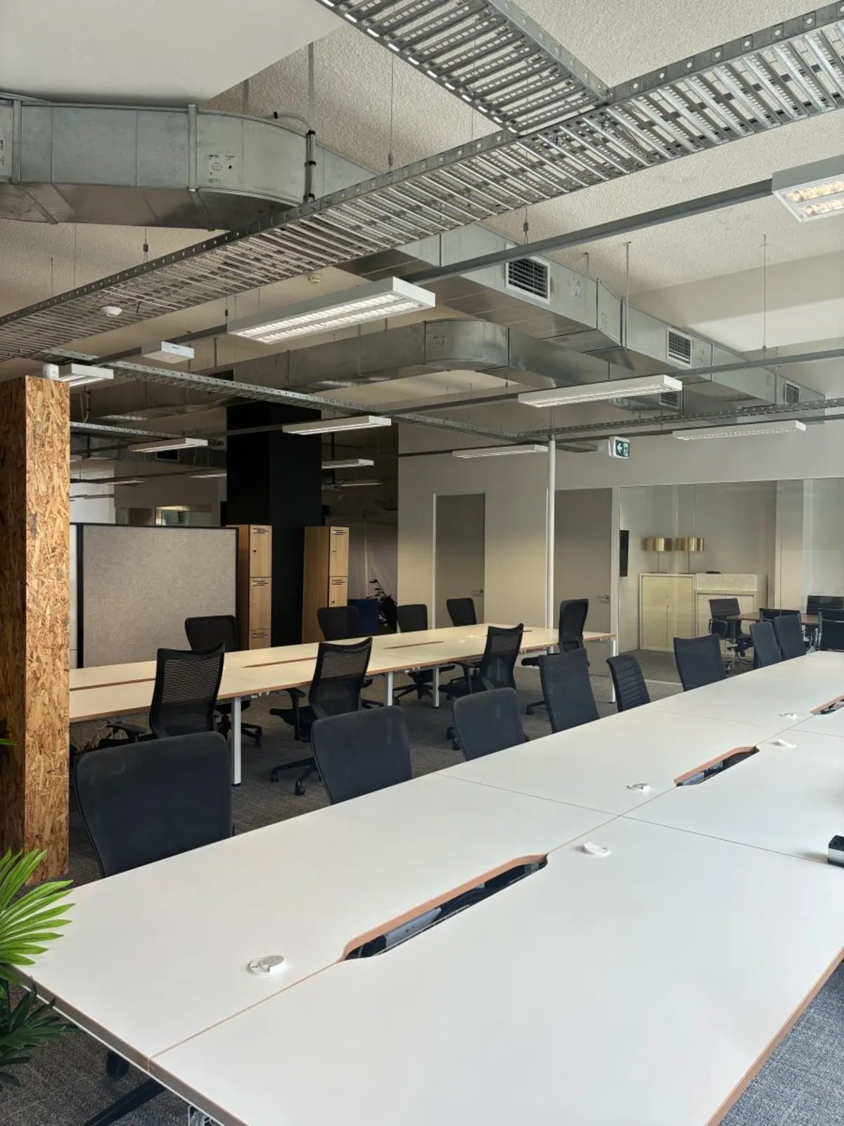 HBG Surry Hills HQ, open plan workspace with OSB feature columns